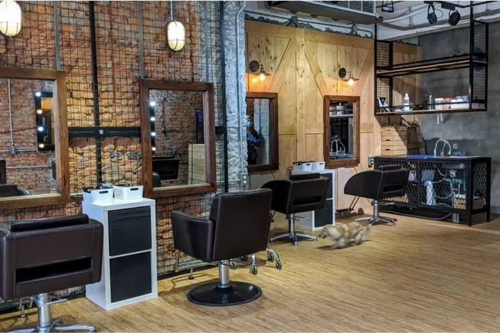 【板橋髮廊推薦】江子翠 1997’s Hair Salon 唯美燙髮專家！預約訂製你的專屬髮型